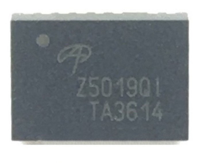 5019